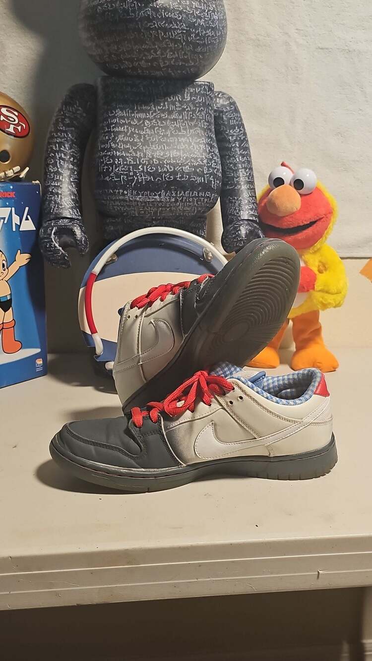 Nike Dunk Premium SB Low Dorothy